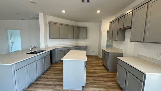 Magnolia 1-story, 3-bed 603 Spring Ashberry Court-idx