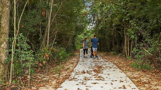 New Caney 1-story, 3-bed 19519 Manduca Drive-idx