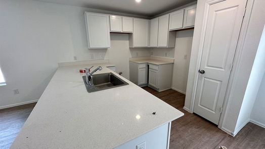 New Caney 1-story, 3-bed 19519 Manduca Drive-idx