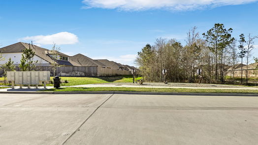 New Caney 1-story, 3-bed 19091 Pinewood Grove Trail-idx