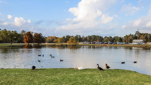 New Caney 1-story, 4-bed 22612 Hackberry Leaf Drive-idx
