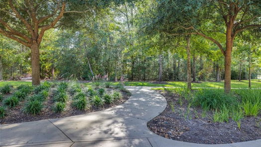 New Caney 1-story, 3-bed 451 Pace Bend Court-idx