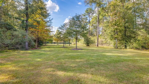 New Caney 1-story, 3-bed 451 Pace Bend Court-idx