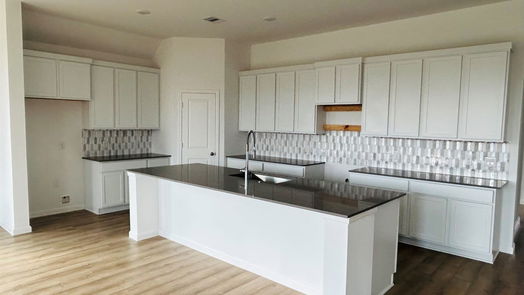 New Caney 1-story, 3-bed 451 Pace Bend Court-idx