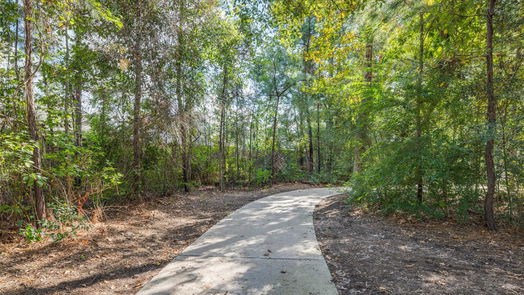 New Caney 1-story, 4-bed 28805 Window View Drive-idx