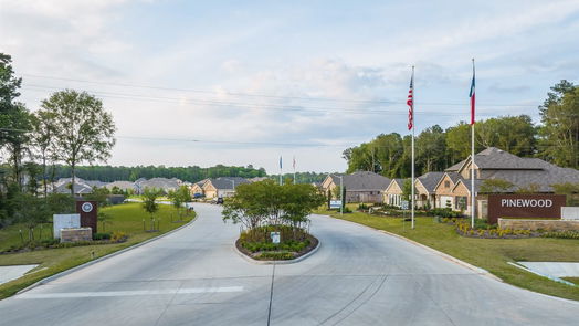 New Caney 1-story, 4-bed 22764 Hackberry Leaf Drive-idx