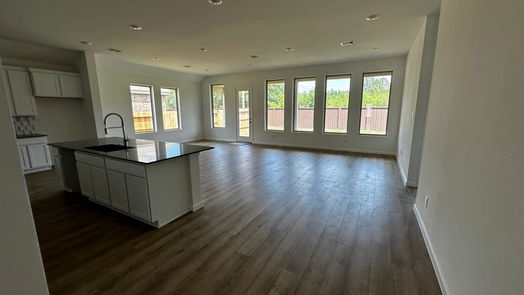 New Caney 1-story, 4-bed 502 Boot Springs Drive-idx