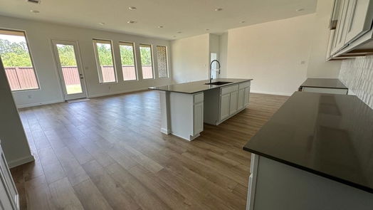 New Caney 1-story, 4-bed 502 Boot Springs Drive-idx