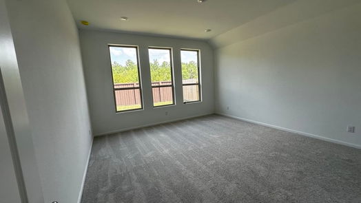 New Caney 1-story, 4-bed 502 Boot Springs Drive-idx
