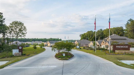 New Caney 1-story, 3-bed 22788 Hackberry Leaf Drive-idx