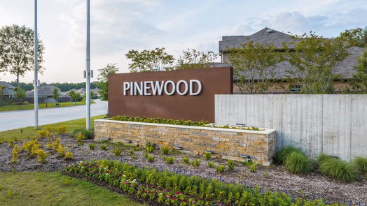 New Caney 1-story, 3-bed 16539 Plum Bark Drive-idx