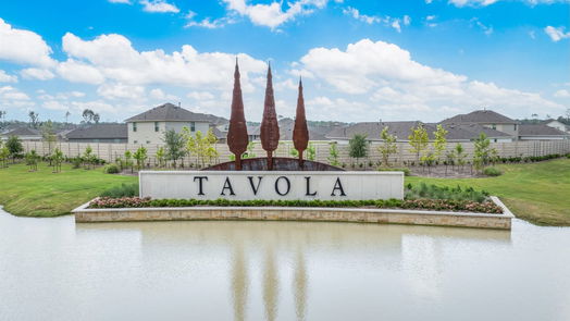 New Caney 2-story, 4-bed 21281 Carosella Drive-idx