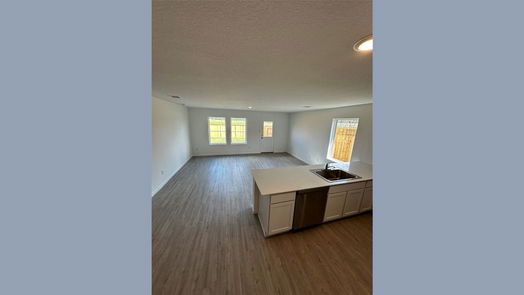 New Caney 1-story, 4-bed 18792 Ribolla Drive-idx