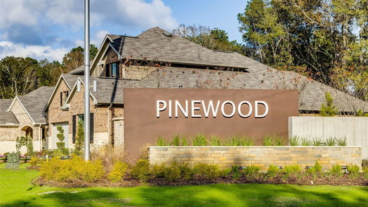 New Caney 1-story, 3-bed 16516 Plum Bark Drive-idx