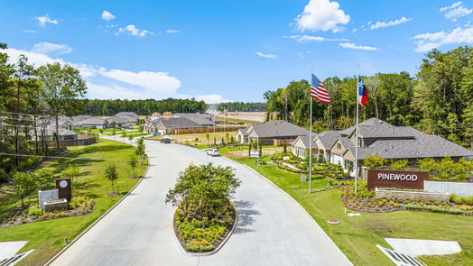 New Caney null-story, 4-bed 16615 Trembling Aspen Lane-idx