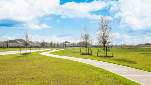 Rosenberg 1-story, 4-bed 2023 Wheat Pasture Way-idx