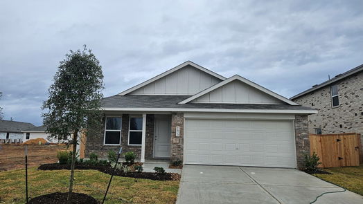 Rosenberg null-story, 3-bed 1623 Birch wood Drive-idx