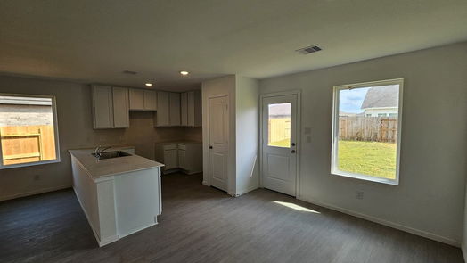 Rosenberg null-story, 3-bed 1623 Birch wood Drive-idx