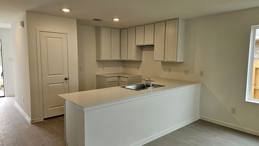 Rosenberg 2-story, 4-bed 1627 Birch Wood Drive-idx