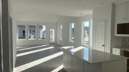 Rosharon 2-story, 3-bed 2402 Night Emerald Drive-idx