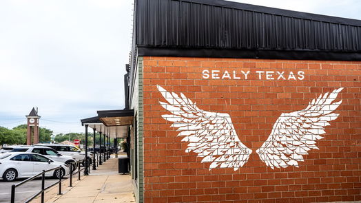Sealy 1-story, 4-bed 303 Riverwood Village Lane-idx