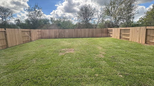Sealy 2-story, 4-bed 317 Riverwood Village Lane-idx