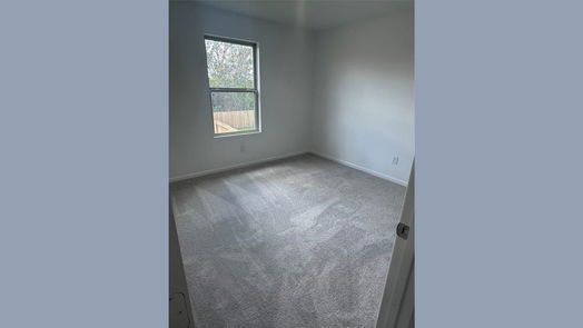 Sealy 2-story, 4-bed 317 Riverwood Village Lane-idx