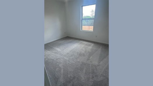 Sealy 2-story, 4-bed 317 Riverwood Village Lane-idx