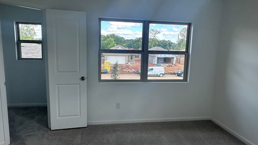 Sealy 2-story, 4-bed 317 Riverwood Village Lane-idx