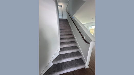 Sealy 2-story, 4-bed 317 Riverwood Village Lane-idx