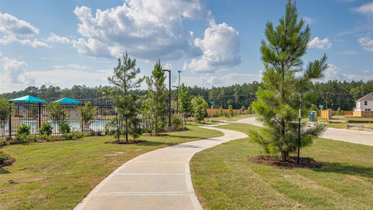 Splendora 1-story, 3-bed 13820 Grey Wolf Trail-idx