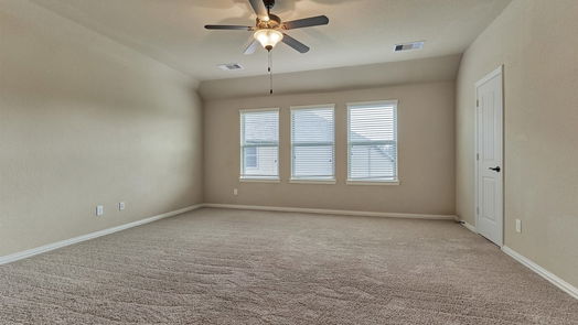 Tomball 1-story, 5-bed 17911 Rushing Hollow Court-idx