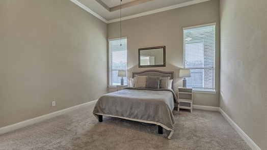 Tomball 1-story, 5-bed 17911 Rushing Hollow Court-idx