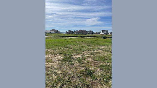 Willis 2-story, 4-bed 12868 French Quarter Drive-idx
