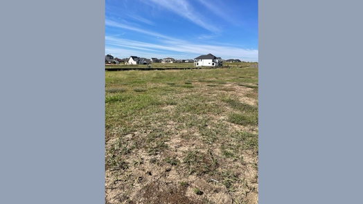 Willis 1-story, 3-bed 12884 French Quarter Drive-idx