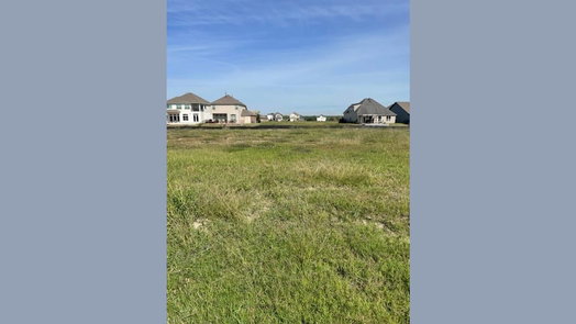 Willis 1-story, 3-bed 12884 French Quarter Drive-idx