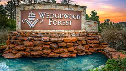 Conroe 1-story, 3-bed 719 Fallen Hemlock Court-idx