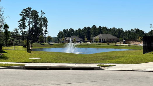 Conroe 2-story, 4-bed 711 Fallen Hemlock Court-idx