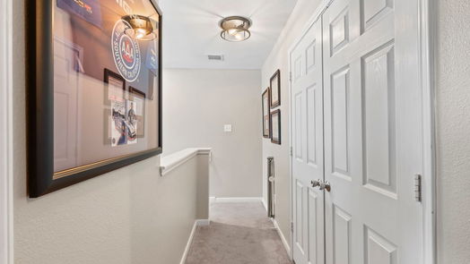 Spring 2-story, 3-bed 28968 Llano River Loop-idx