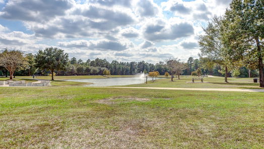 Conroe 1-story, 4-bed 1820 Cypress Canyon Trail-idx
