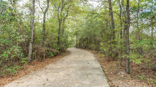 Conroe 1-story, 4-bed 1820 Cypress Canyon Trail-idx