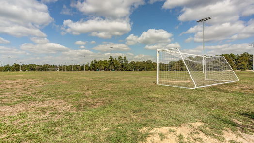 Conroe 1-story, 4-bed 2021 Piney Balsam Way-idx