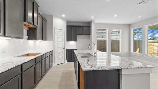 Conroe 2-story, 5-bed 3116 Red Buckeye Lane-idx