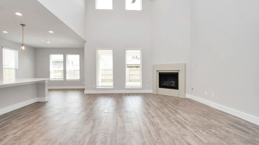 Hockley 2-story, 5-bed 19714 Florence Glen Lane-idx