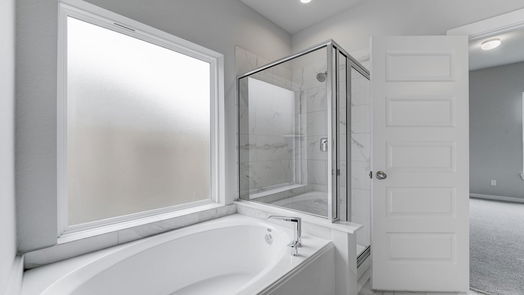 Hockley 2-story, 4-bed 19718 Vino Vale Drive-idx