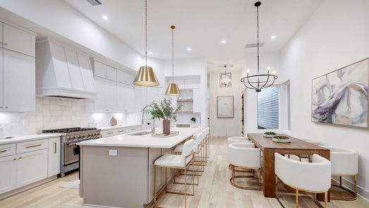 Houston 2-story, 3-bed 230 W 24th-idx
