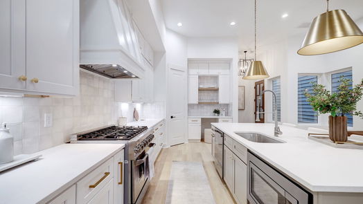 Houston 2-story, 3-bed 230 W 24th-idx