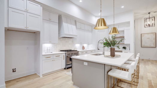 Houston 2-story, 3-bed 230 W 24th-idx