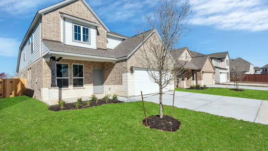 Houston 2-story, 4-bed 14539 Tundra Swan Drive-idx