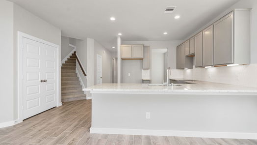 Houston 2-story, 4-bed 14539 Tundra Swan Drive-idx
